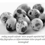 Mengenal Arti “Sejinah” Dalam Bahasa Jawa yang Lagi Viral ini