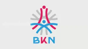 Badan Kepegawaian Negara (BKN)