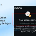Penyebab Akun WhatsApp Sedang Ditinjau dan Solusi