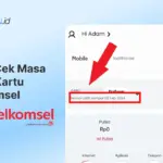 3 Cara Cek Masa Aktif Kartu Telkomsel