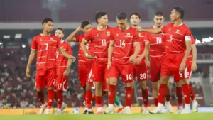 Timnas Indonesia di Piala AFF