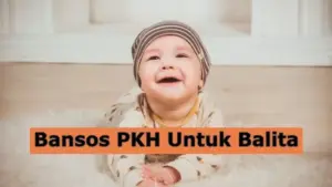 Cara Cek Bansos Balita Agustus 2026